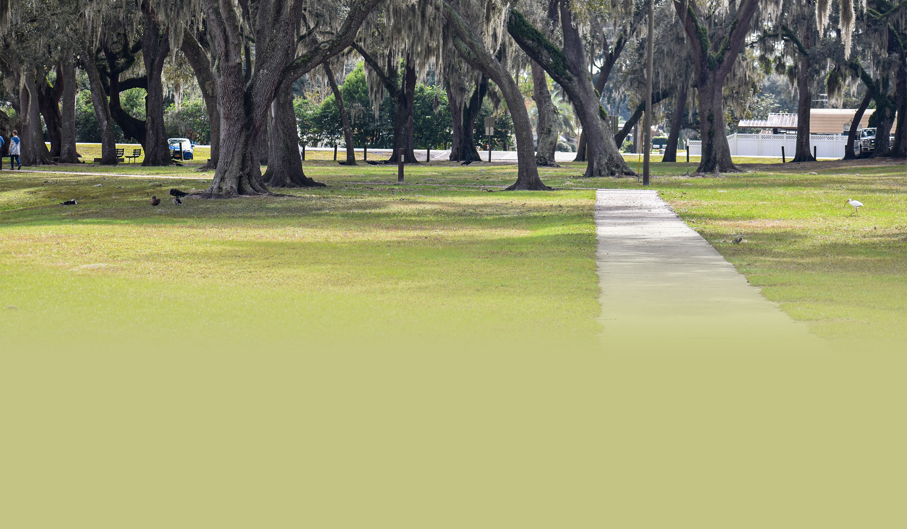 Zephyrhills West Office First National Bank of Pasco